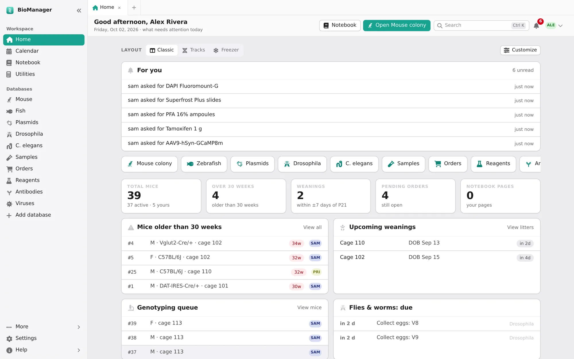 BioManager's home page: mice older than 30 weeks, upcoming weanings, the genotyping queue, fly vials due, expiring reagents and the next 14 days